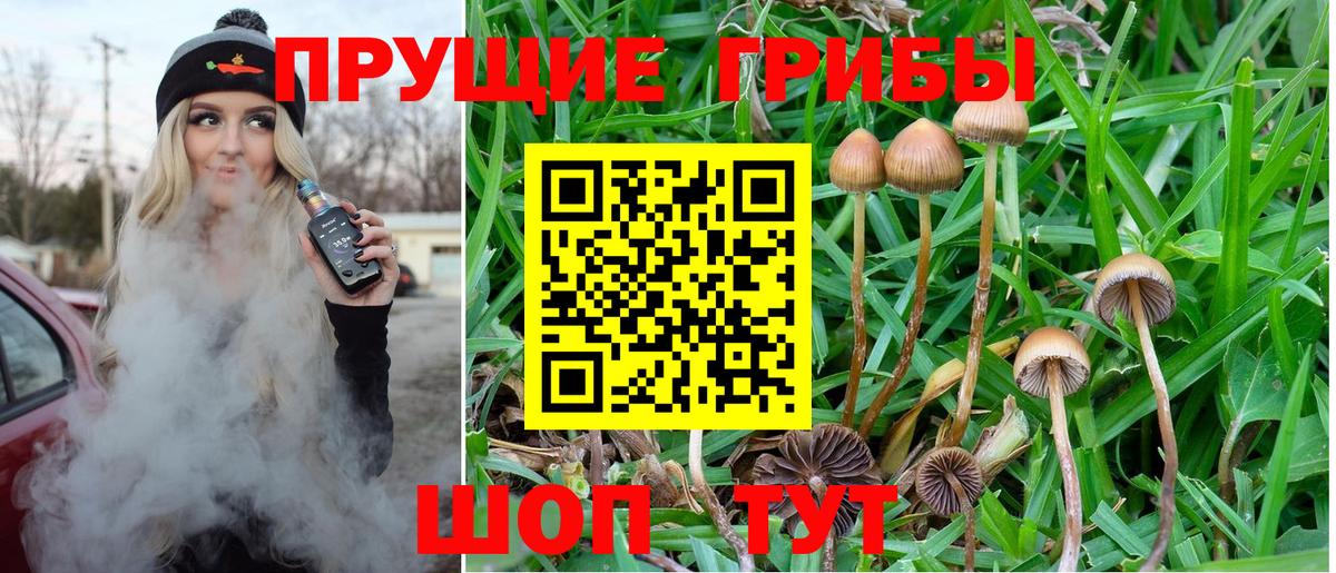 Назрань  Галлюциногенные грибы Psilocybe  Вход с VPN  Галлюциногенные грибы прущие грибы 